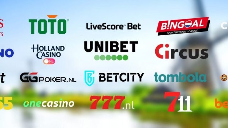  Wat je kunt verwachten van een miljoenair casino